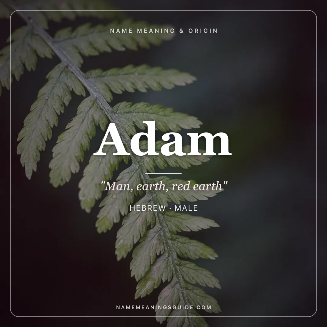 Adam name meaning "Man, earth, red earth" - Hebrew male name share card | NameMeanings