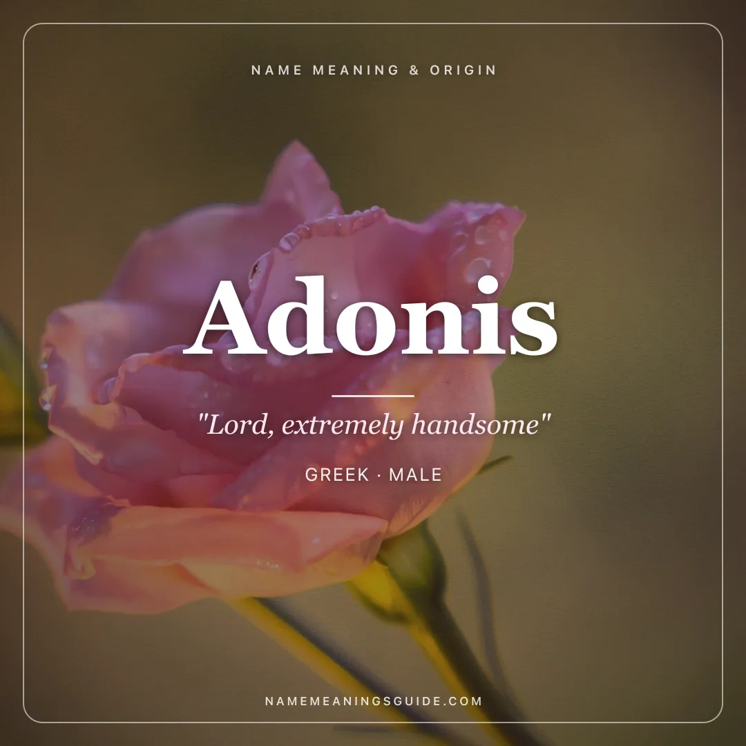 Adonis name meaning "Lord, extremely handsome" - Greek, Phoenician male name share card | NameMeanings