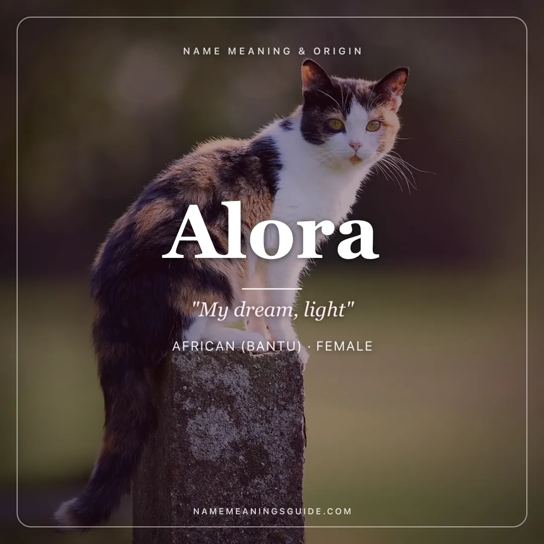 Alora name meaning "My dream, light" - African (Bantu), American female name share card | NameMeanings