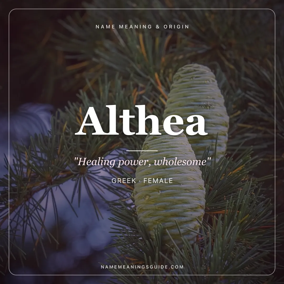 Althea name meaning "Healing power, wholesome" - Greek female name share card | NameMeanings
