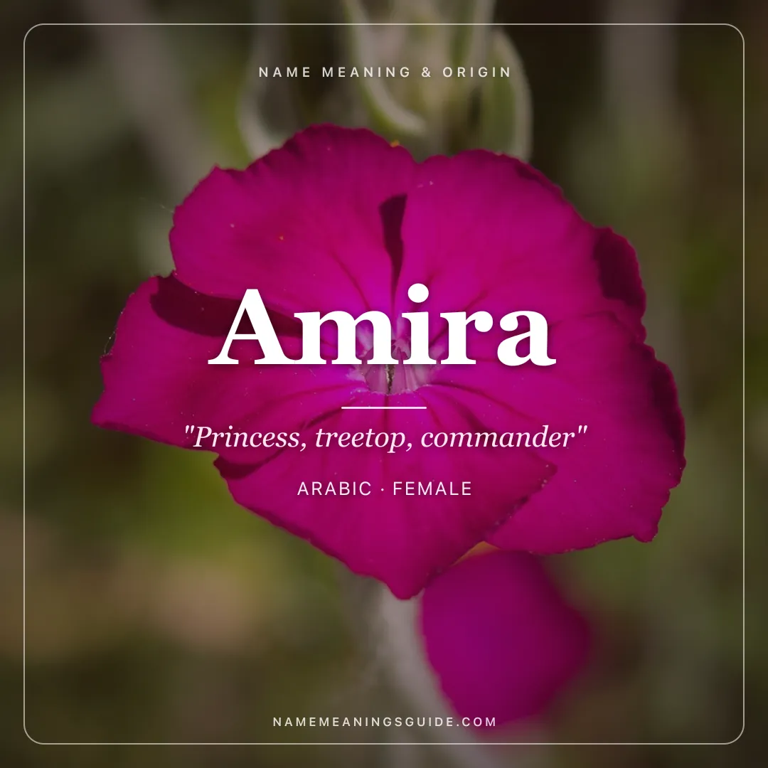 Amira name meaning "Princess, treetop, commander" - Arabic, Hebrew female name share card | NameMeanings