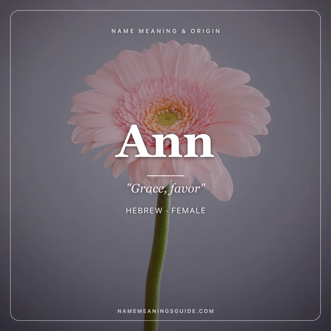 Ann name meaning "Grace, favor" - Hebrew female name share card | NameMeanings