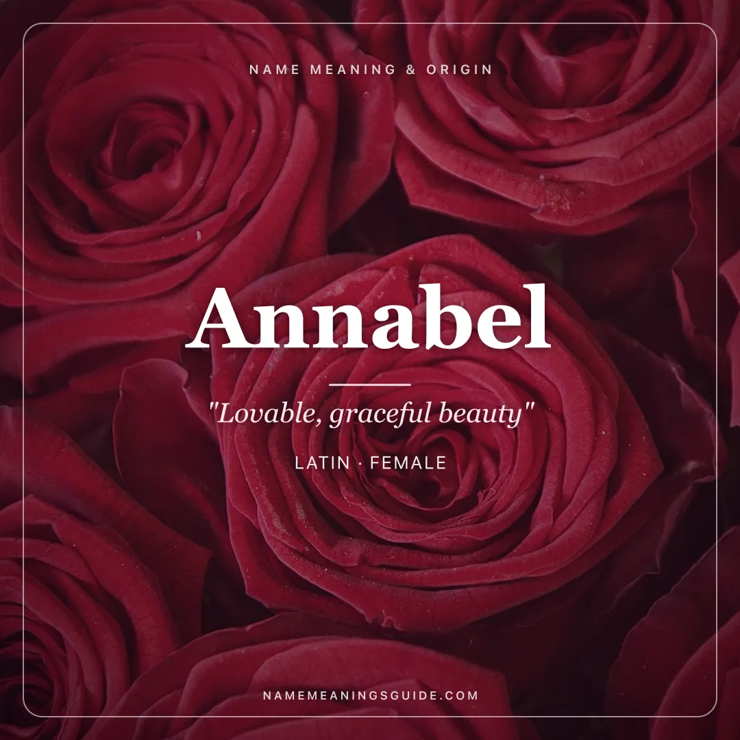 Annabel name meaning "Lovable, graceful beauty" - Latin female name share card | NameMeanings