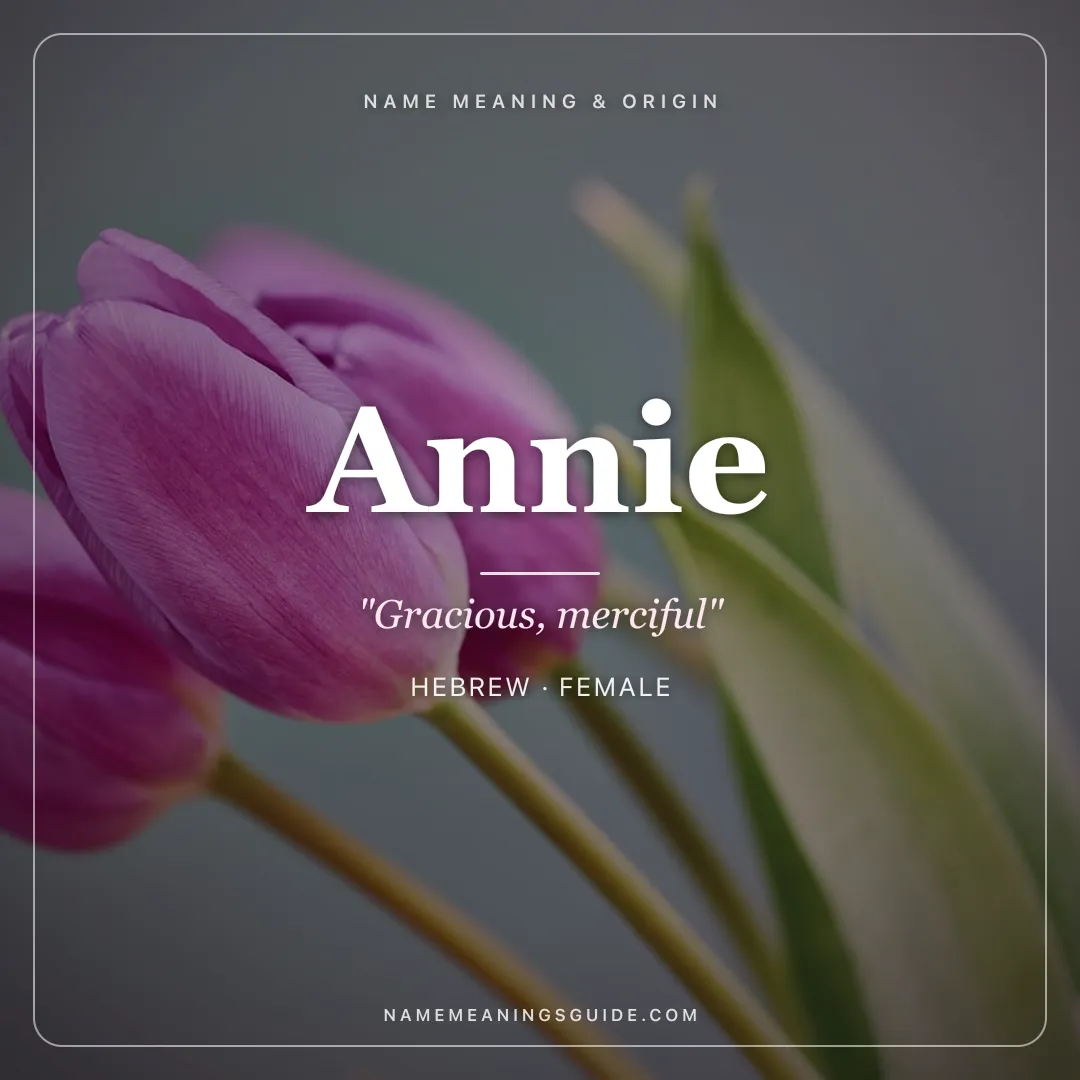 Annie name meaning "Gracious, merciful" - Hebrew, English female name share card | NameMeanings