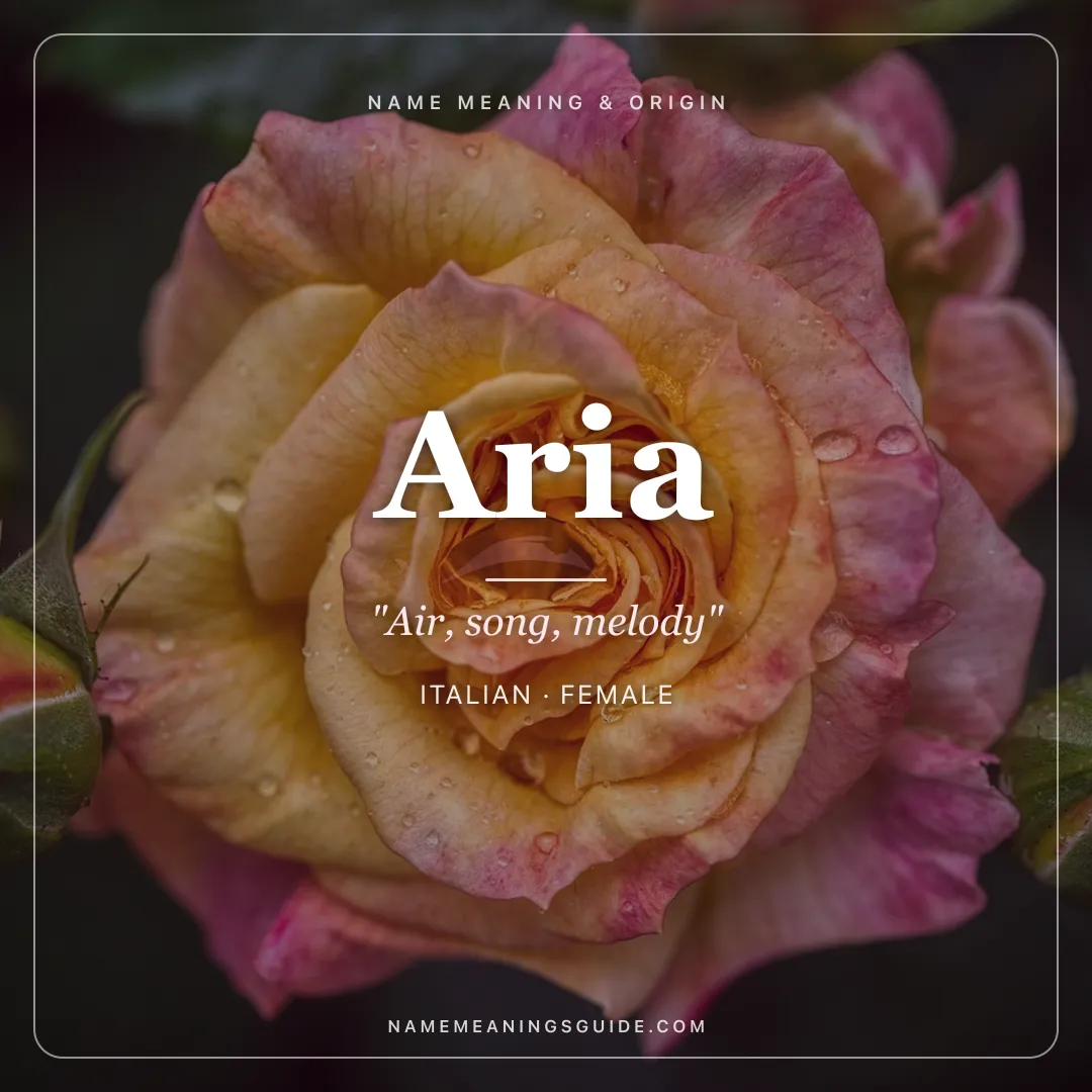 Aria name meaning "Air, song, melody" - Italian female name share card | NameMeanings