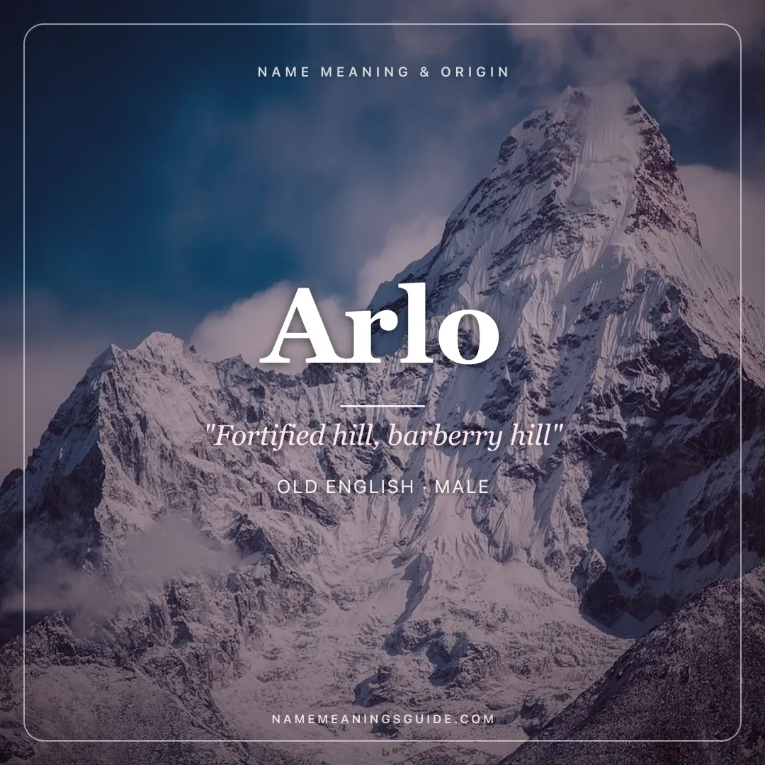 Arlo name meaning "Fortified hill, barberry hill" - Old English, Germanic male name share card | NameMeanings