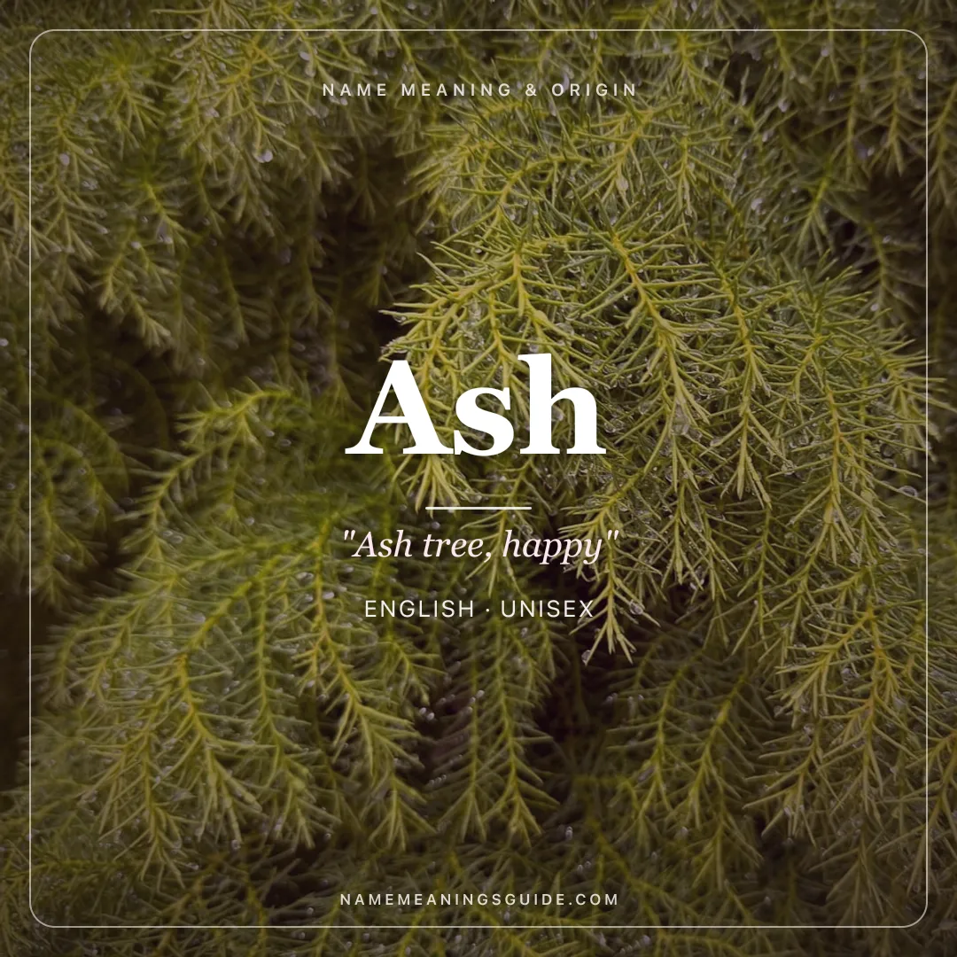 Ash name meaning "Ash tree, happy" - English unisex name share card | NameMeanings