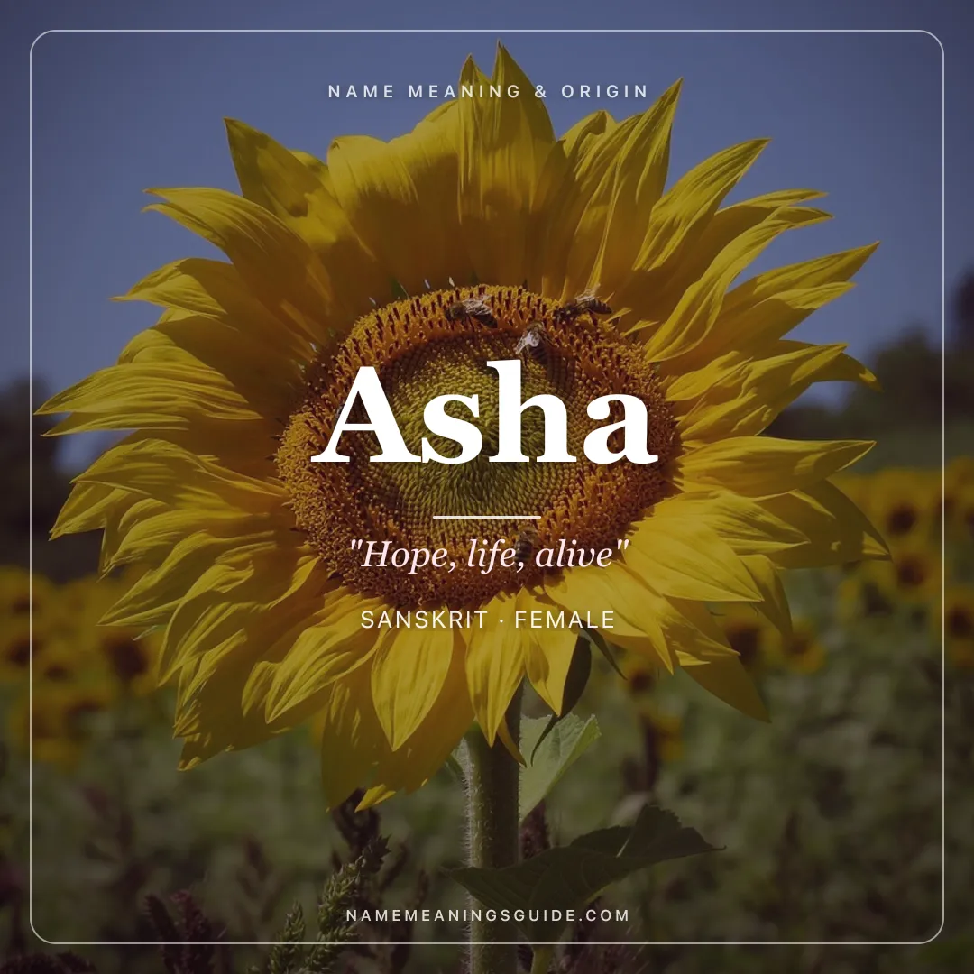 Asha name meaning "Hope, life, alive" - Sanskrit, Swahili female name share card | NameMeanings
