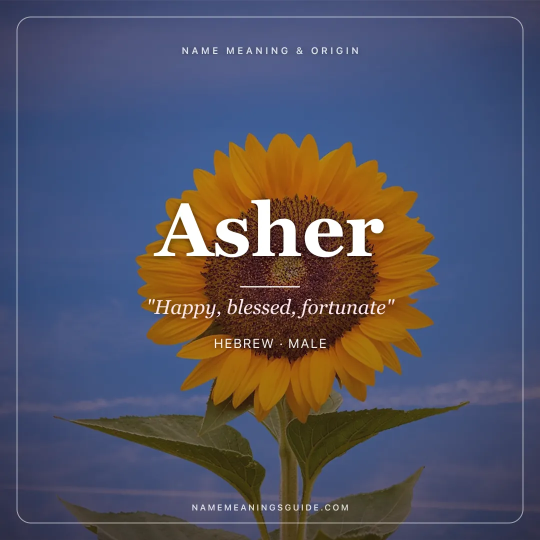 Asher name meaning "Happy, blessed, fortunate" - Hebrew male name share card | NameMeanings