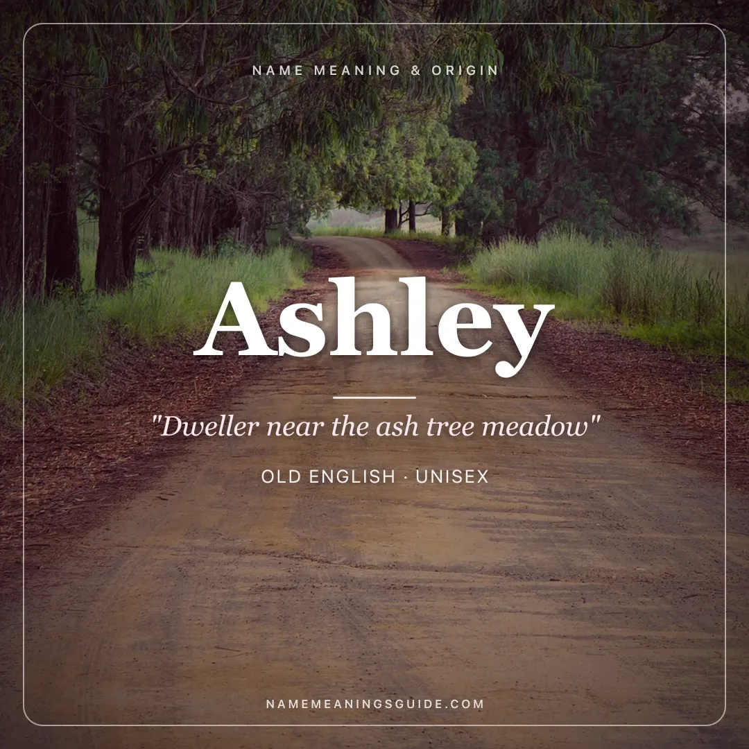 Ashley name meaning "Dweller near the ash tree meadow" - Old English unisex name share card | NameMeanings