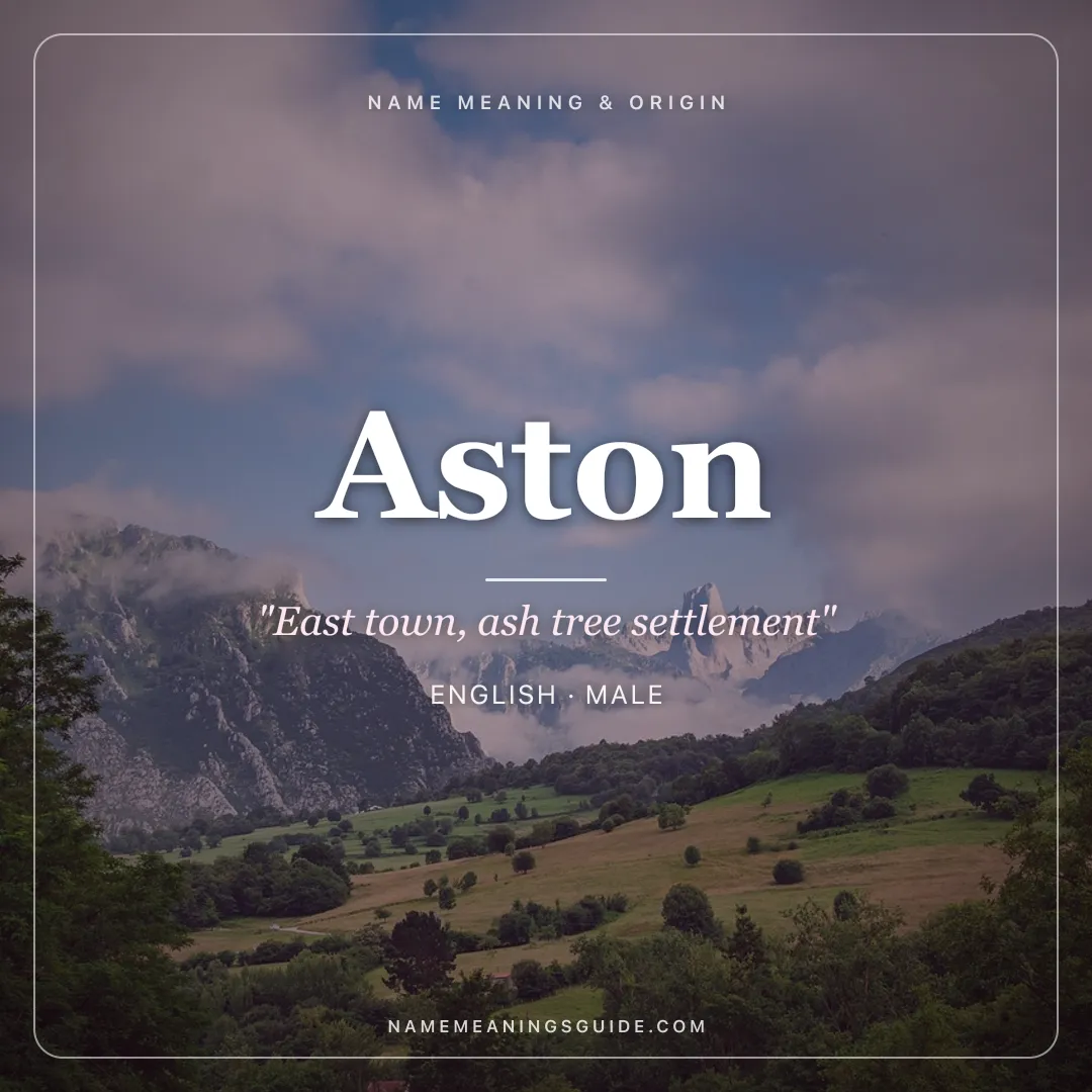 Aston name meaning "East town, ash tree settlement" - English male name share card | NameMeanings