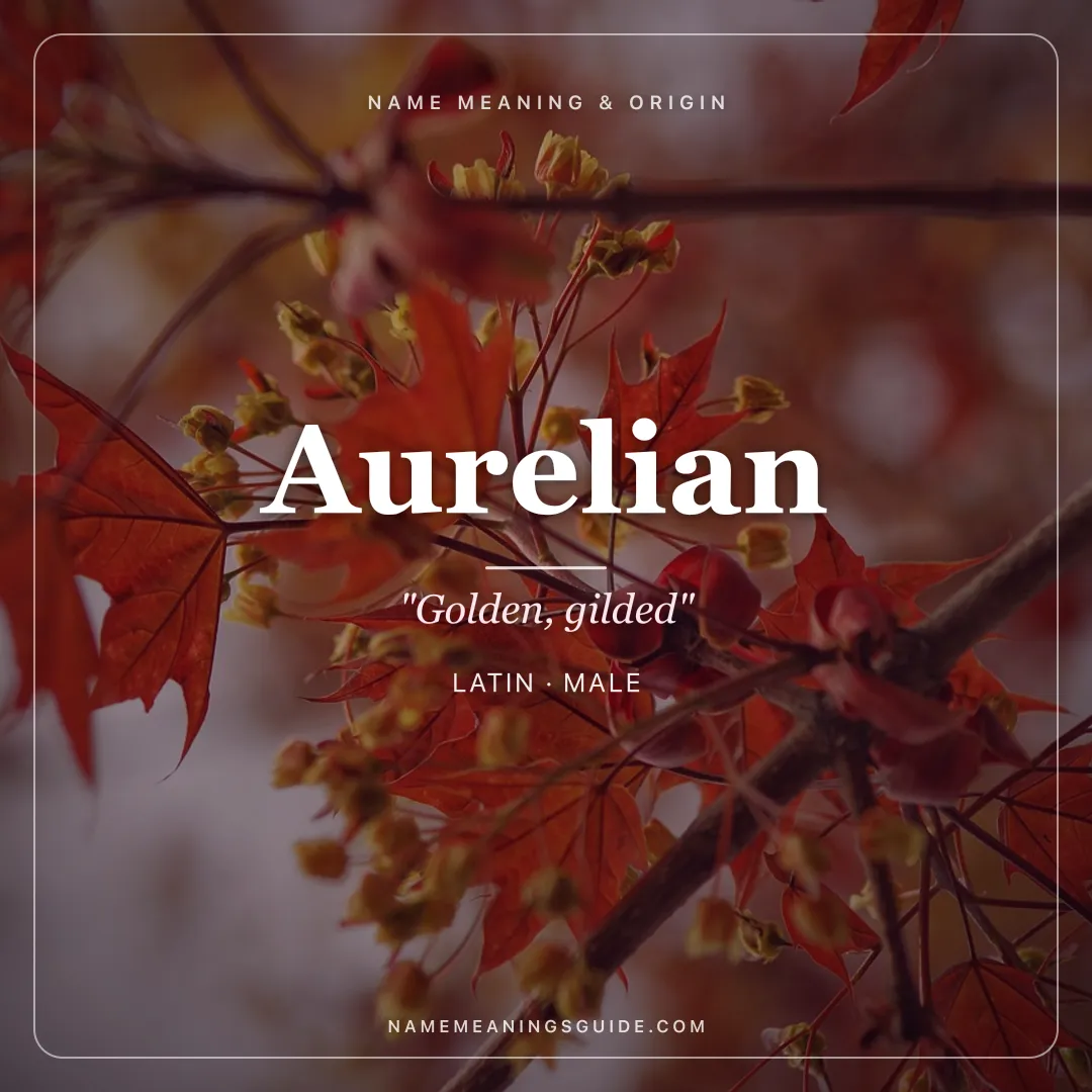 Aurelian name meaning "Golden, gilded" - Latin male name share card | NameMeanings