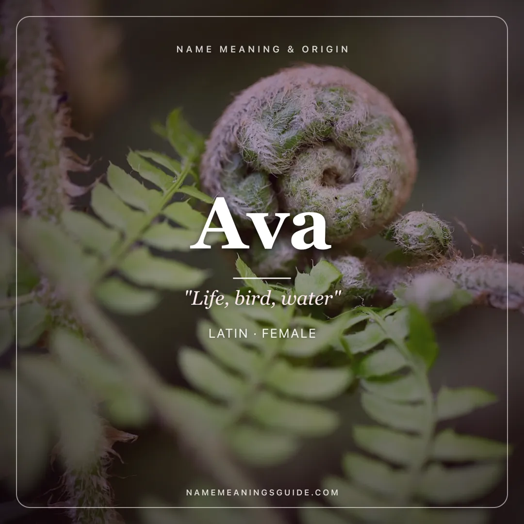 Ava name meaning "Life, bird, water" - Latin, Hebrew, Persian female name share card | NameMeanings