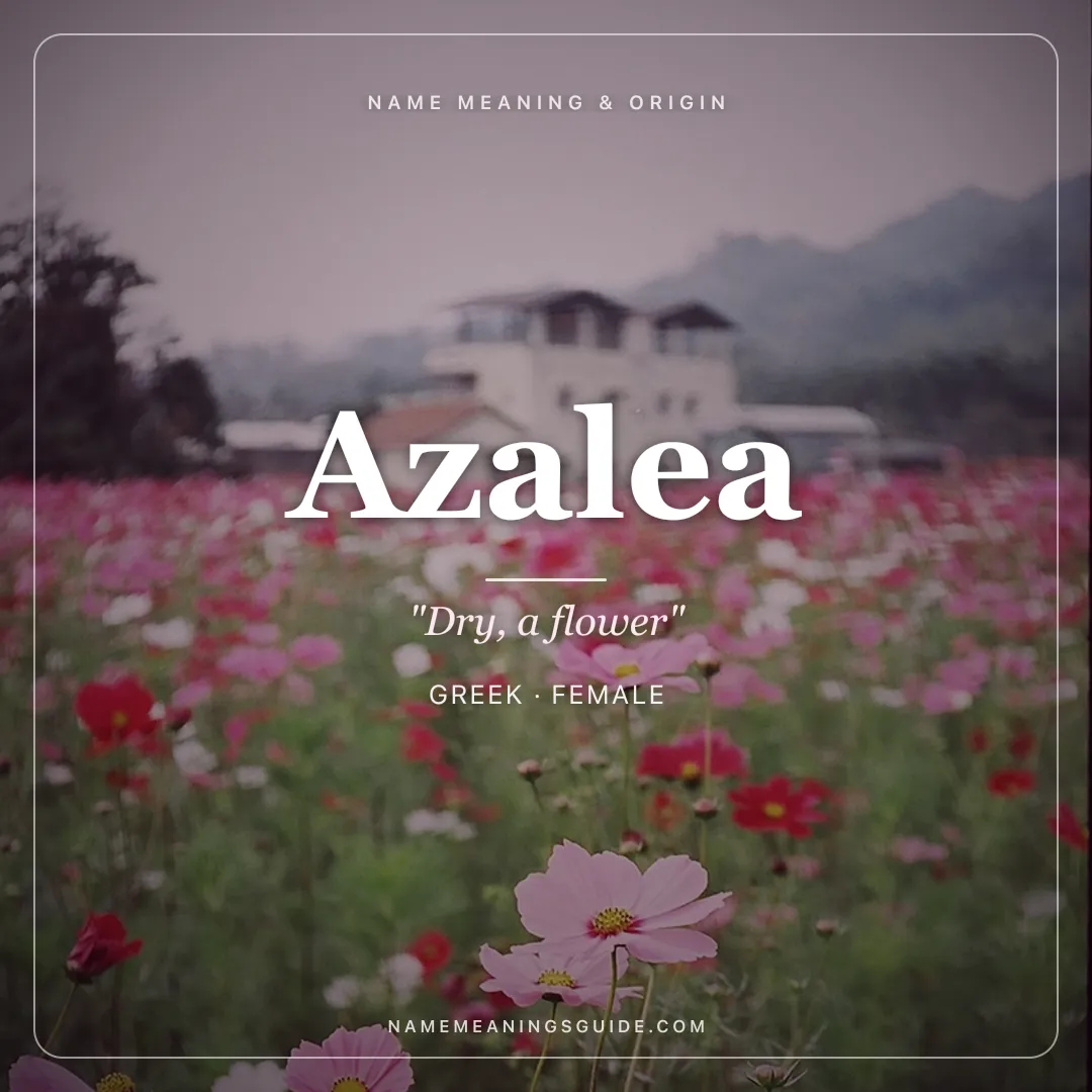 Azalea name meaning "Dry, a flower" - Greek female name share card | NameMeanings