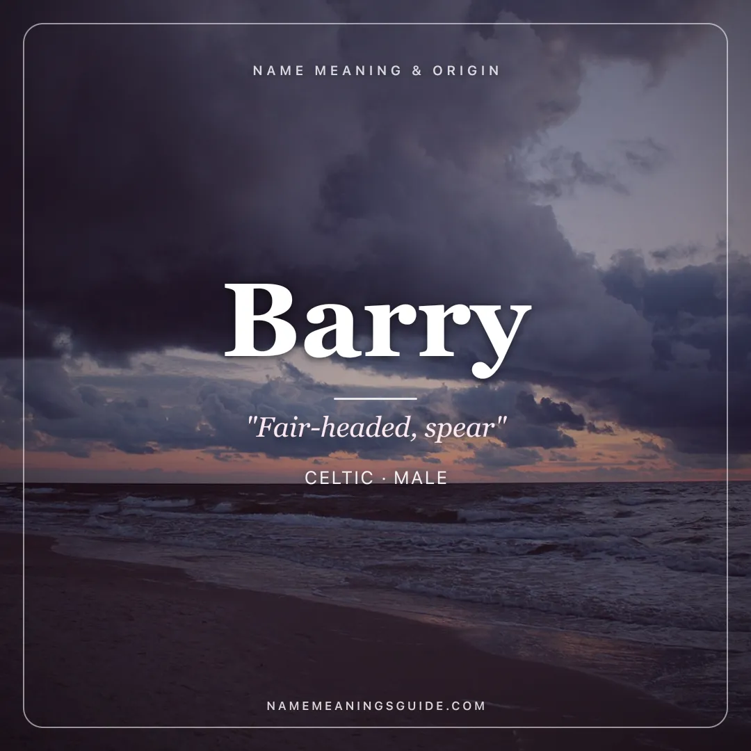 Barry name meaning "Fair-headed, spear" - Celtic male name share card | NameMeanings