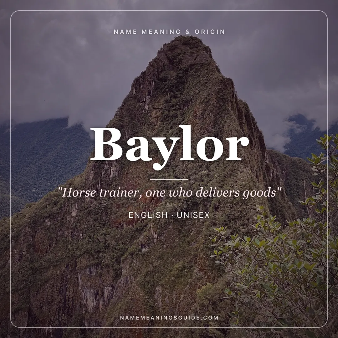 Baylor name meaning "Horse trainer, one who delivers goods" - English unisex name share card | NameMeanings