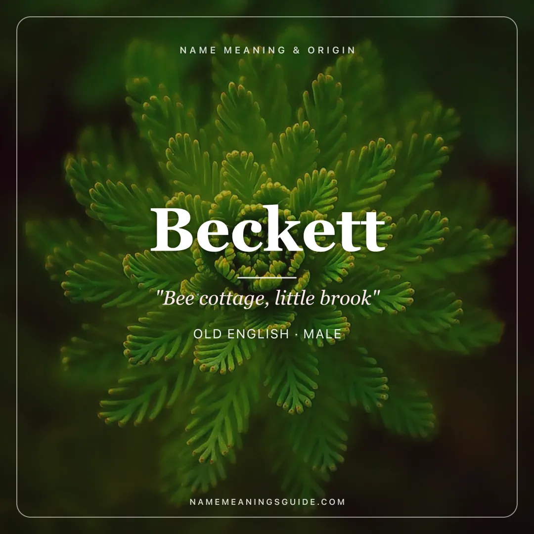 Beckett name meaning "Bee cottage, little brook" - Old English male name share card | NameMeanings