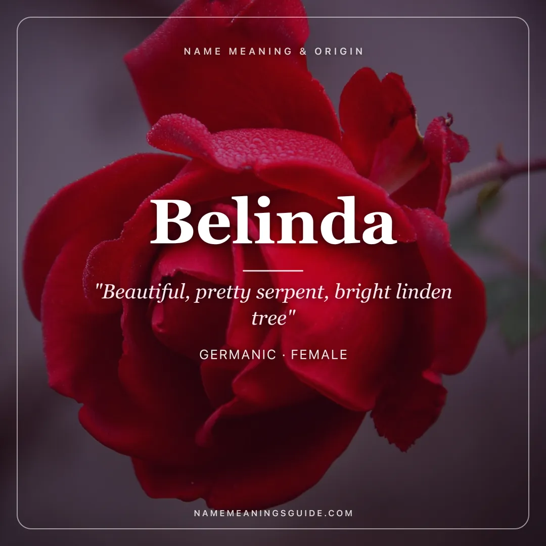 Belinda name meaning "Beautiful, pretty serpent, bright linden tree" - Germanic female name share card | NameMeanings