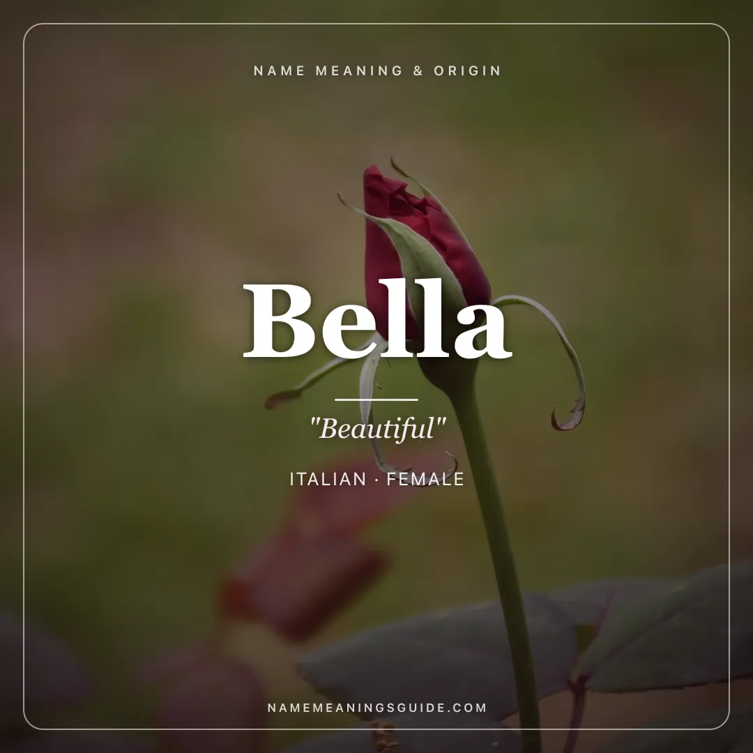 Bella name meaning "Beautiful" - Italian, Latin female name share card | NameMeanings
