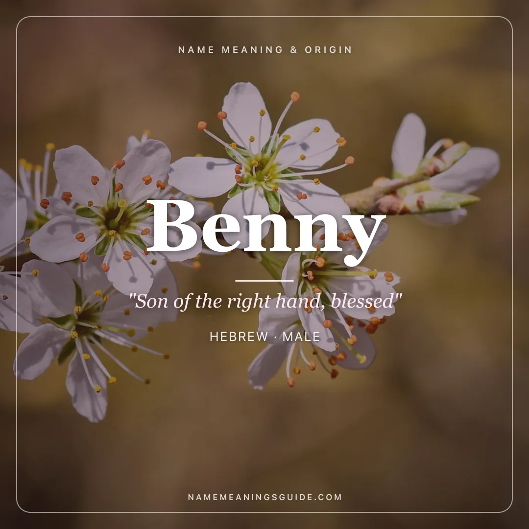 Benny name meaning "Son of the right hand, blessed" - Hebrew male name share card | NameMeanings