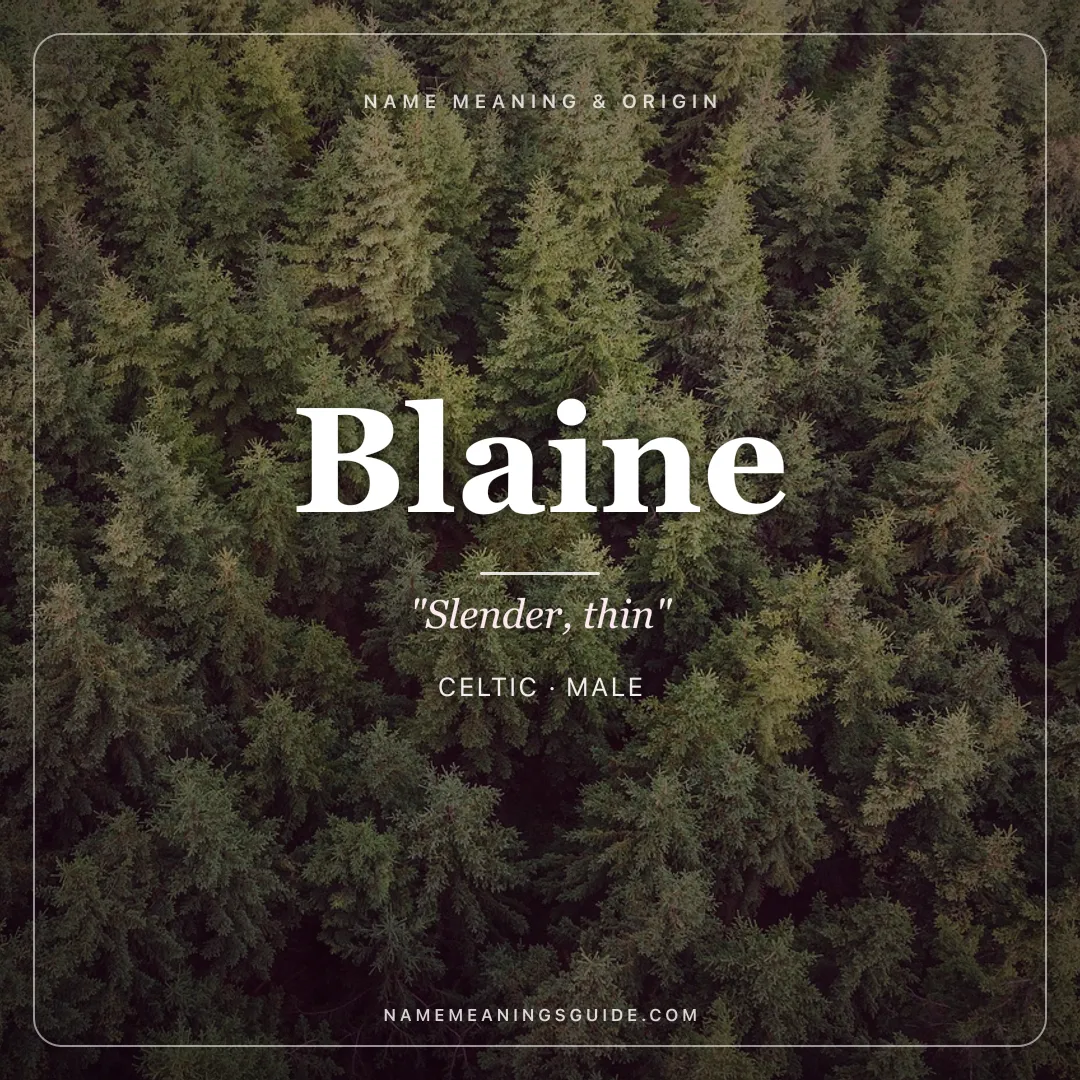 Blaine name meaning "Slender, thin" - Celtic male name share card | NameMeanings