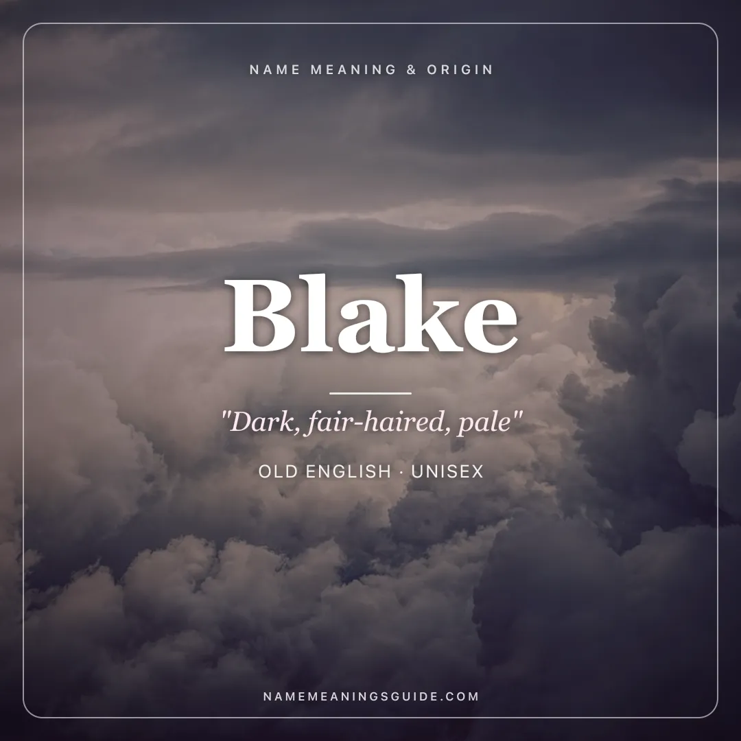 Blake name meaning "Dark, fair-haired, pale" - Old English unisex name share card | NameMeanings