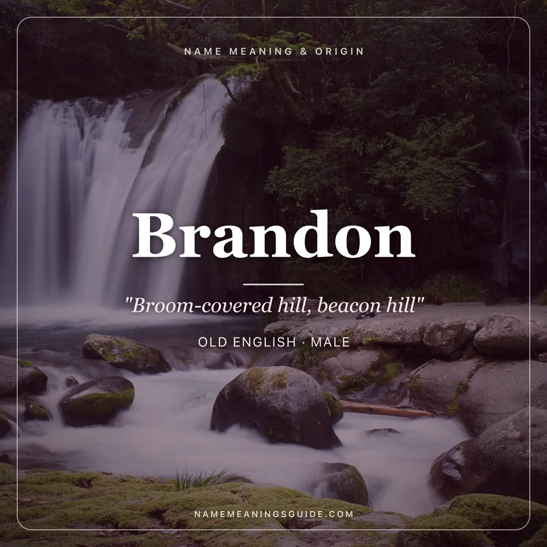 Brandon name meaning "Broom-covered hill, beacon hill" - Old English male name share card | NameMeanings