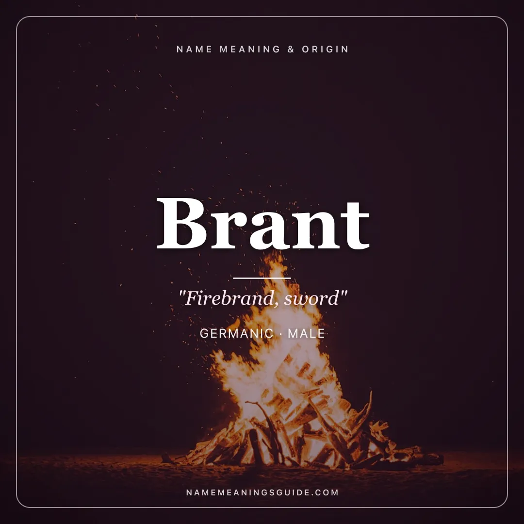 Brant name meaning "Firebrand, sword" - Germanic male name share card | NameMeanings