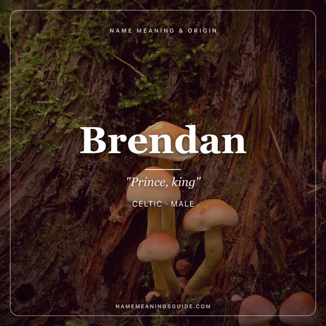 Brendan name meaning "Prince, king" - Celtic male name share card | NameMeanings