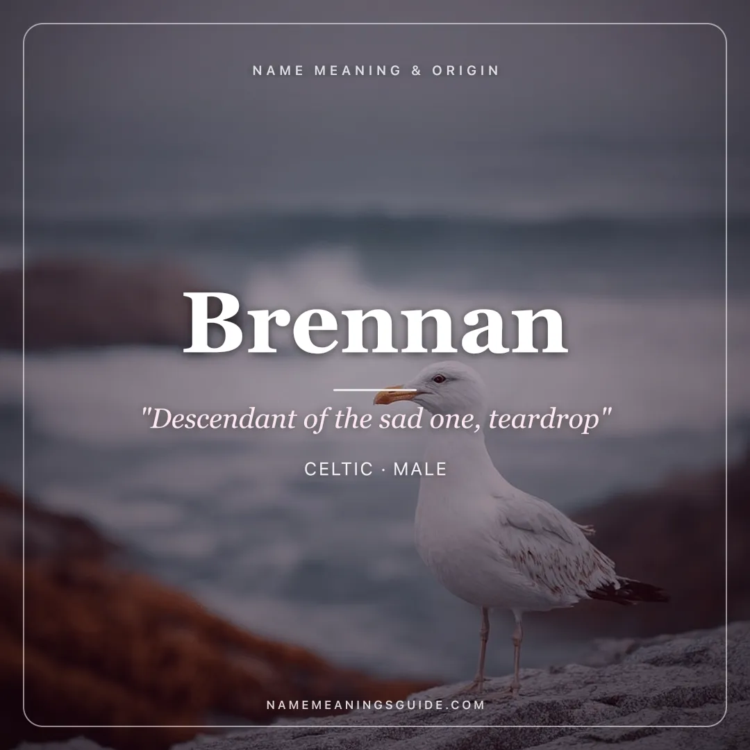 Brennan name meaning "Descendant of the sad one, teardrop" - Celtic male name share card | NameMeanings