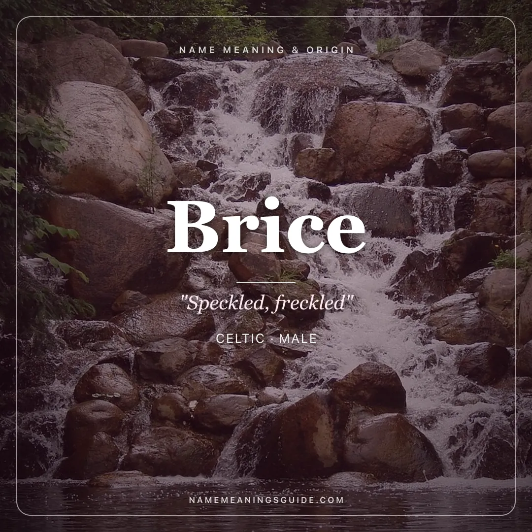 Brice name meaning "Speckled, freckled" - Celtic male name share card | NameMeanings
