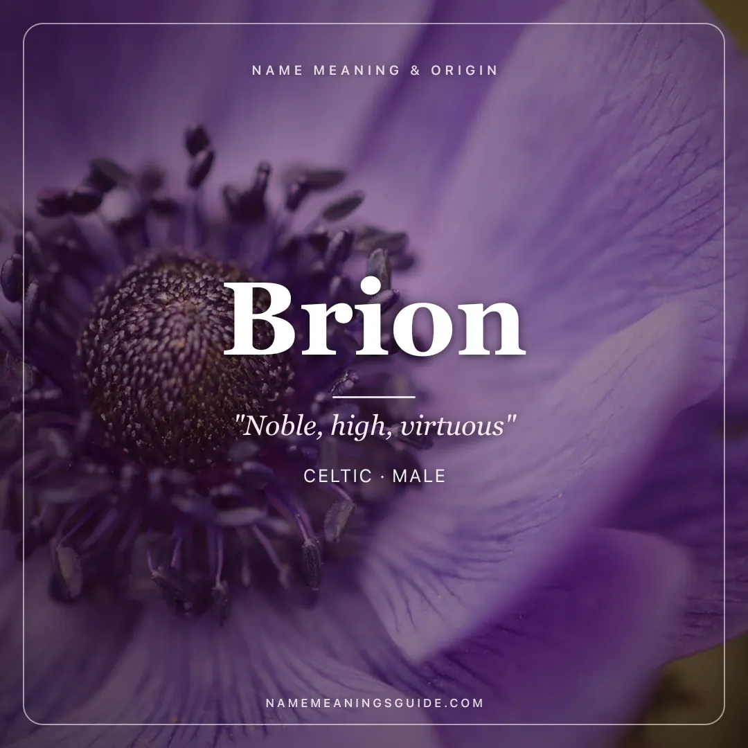 Brion name meaning "Noble, high, virtuous" - Celtic male name share card | NameMeanings