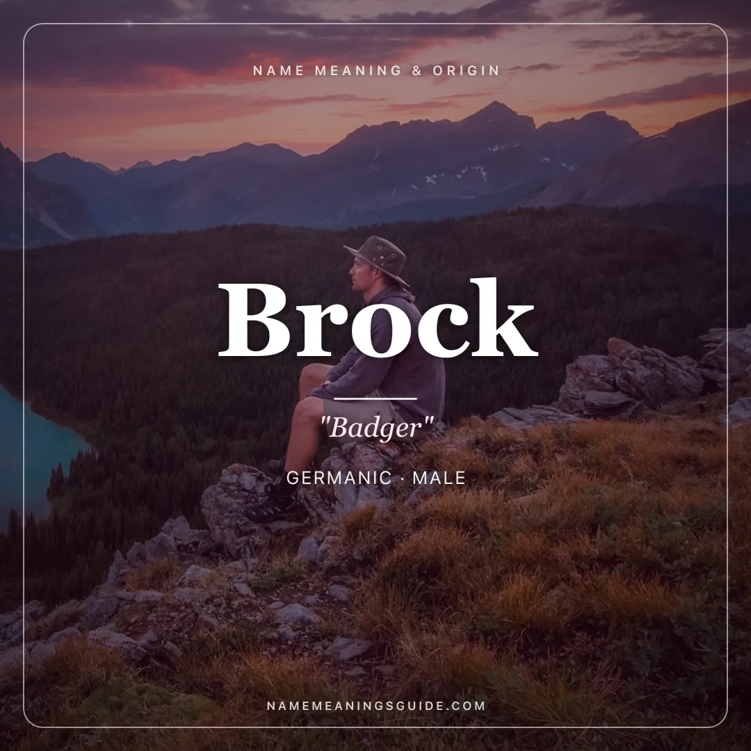 Brock name meaning "Badger" - Germanic male name share card | NameMeanings