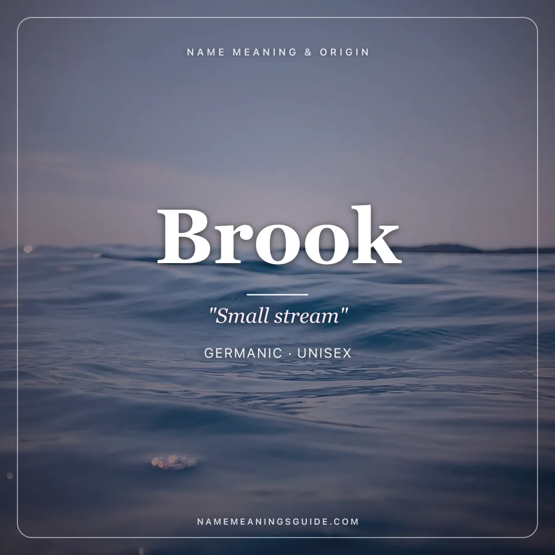 Brook name meaning "Small stream" - Germanic unisex name share card | NameMeanings
