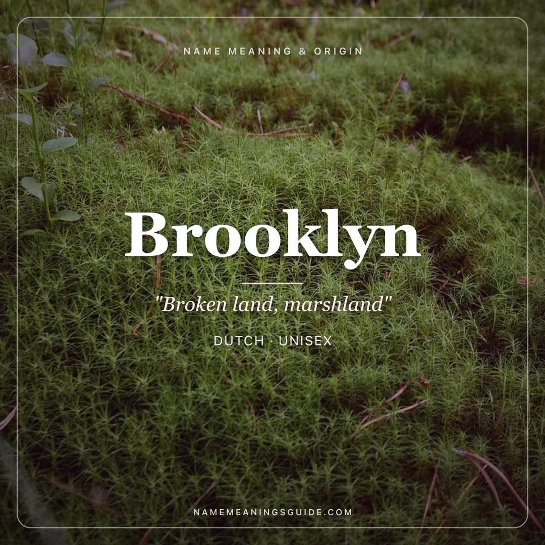 Brooklyn name meaning "Broken land, marshland" - Dutch, English unisex name share card | NameMeanings