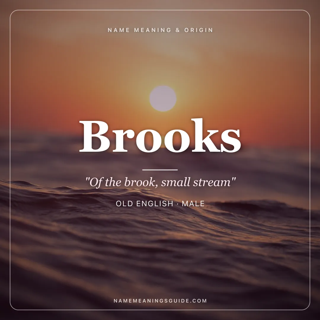 Brooks name meaning "Of the brook, small stream" - Old English male name share card | NameMeanings