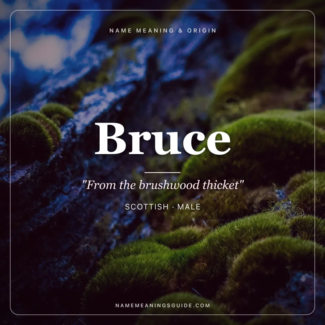 Bruce name meaning "From the brushwood thicket" - Scottish, Old French male name share card | NameMeanings