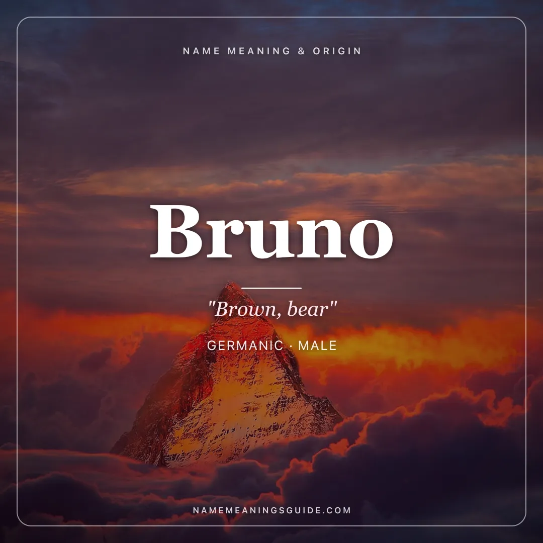 Bruno name meaning "Brown, bear" - Germanic male name share card | NameMeanings