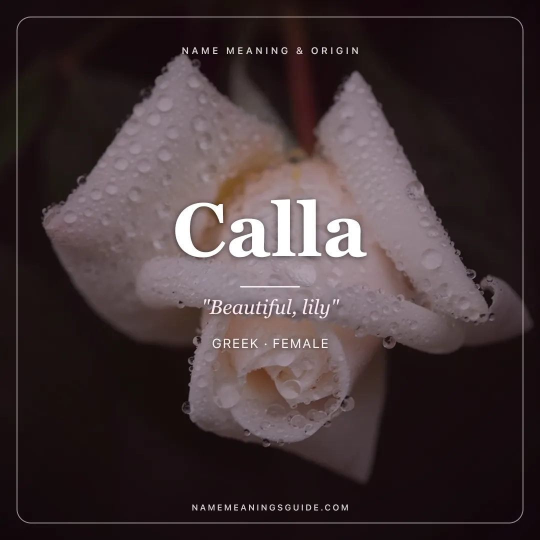 Calla name meaning "Beautiful, lily" - Greek female name share card | NameMeanings