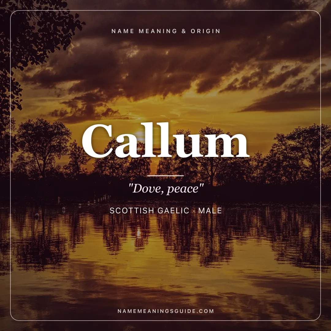 Callum name meaning "Dove, peace" - Scottish Gaelic, Latin male name share card | NameMeanings