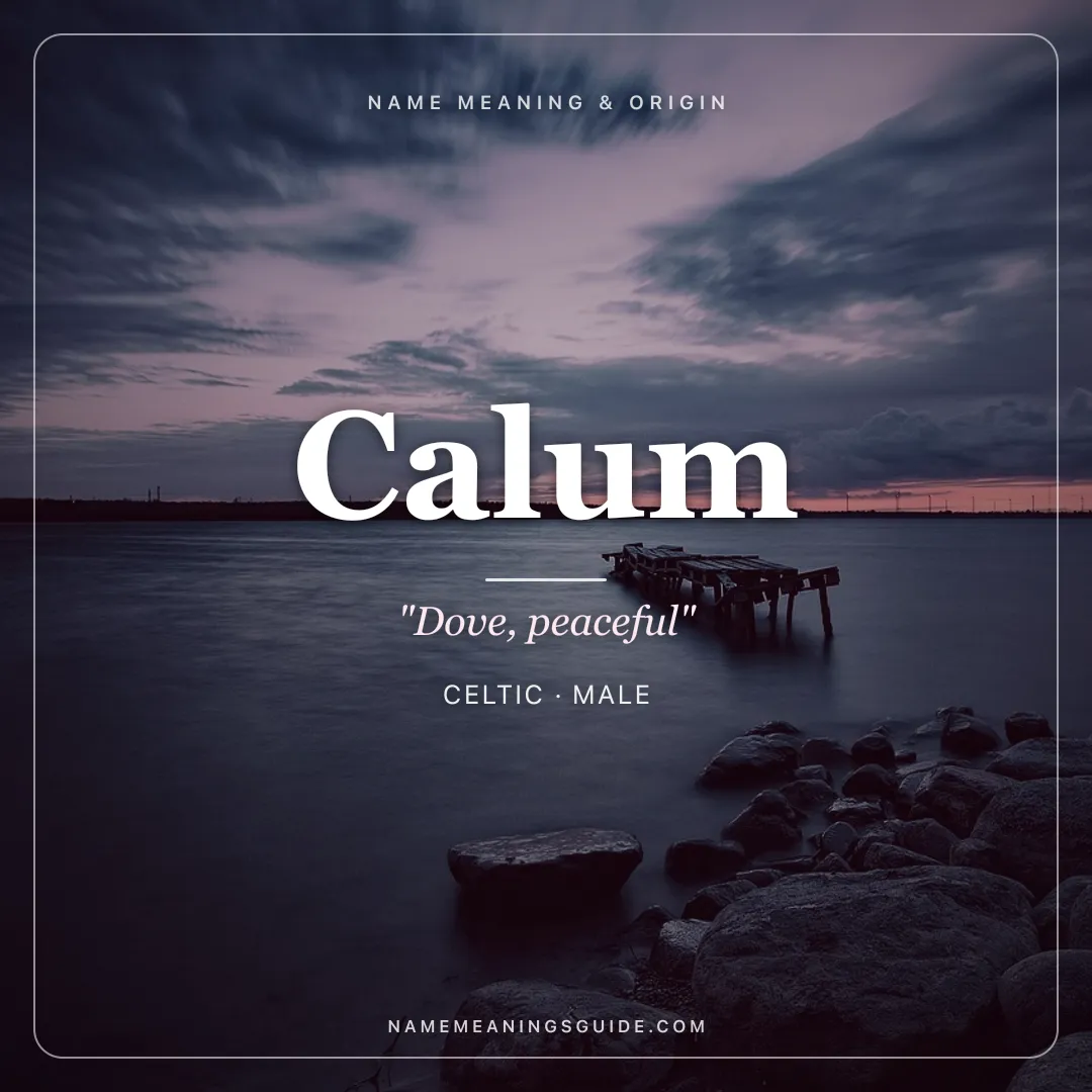 Calum name meaning "Dove, peaceful" - Celtic male name share card | NameMeanings