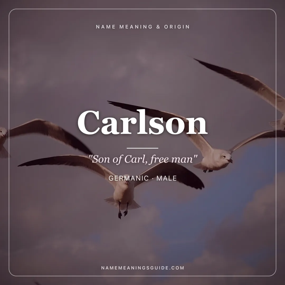 Carlson name meaning "Son of Carl, free man" - Germanic male name share card | NameMeanings
