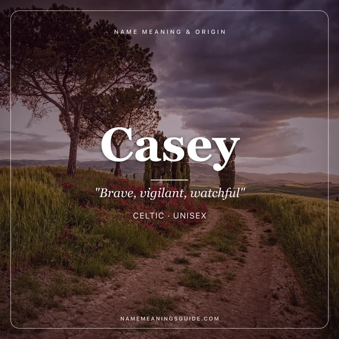 Casey name meaning "Brave, vigilant, watchful" - Celtic unisex name share card | NameMeanings