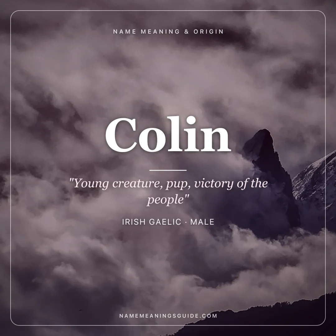 Colin name meaning "Young creature, pup, victory of the people" - Irish Gaelic, Scottish male name share card | NameMeanings