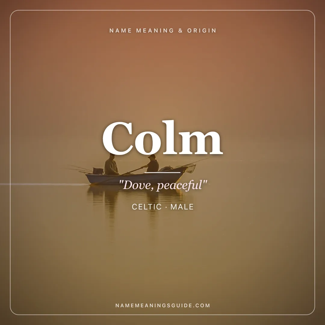 Colm name meaning "Dove, peaceful" - Celtic male name share card | NameMeanings