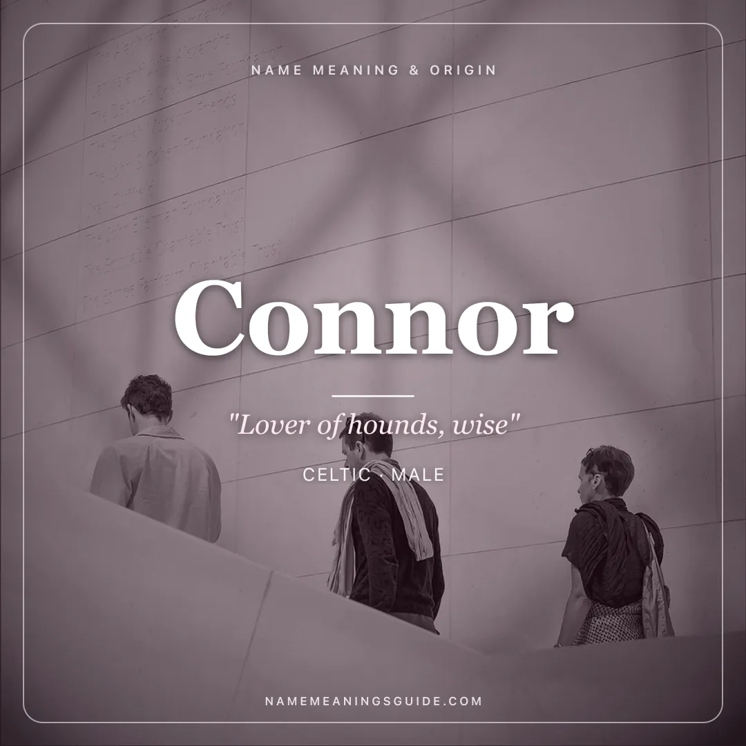 Connor name meaning "Lover of hounds, wise" - Celtic male name share card | NameMeanings