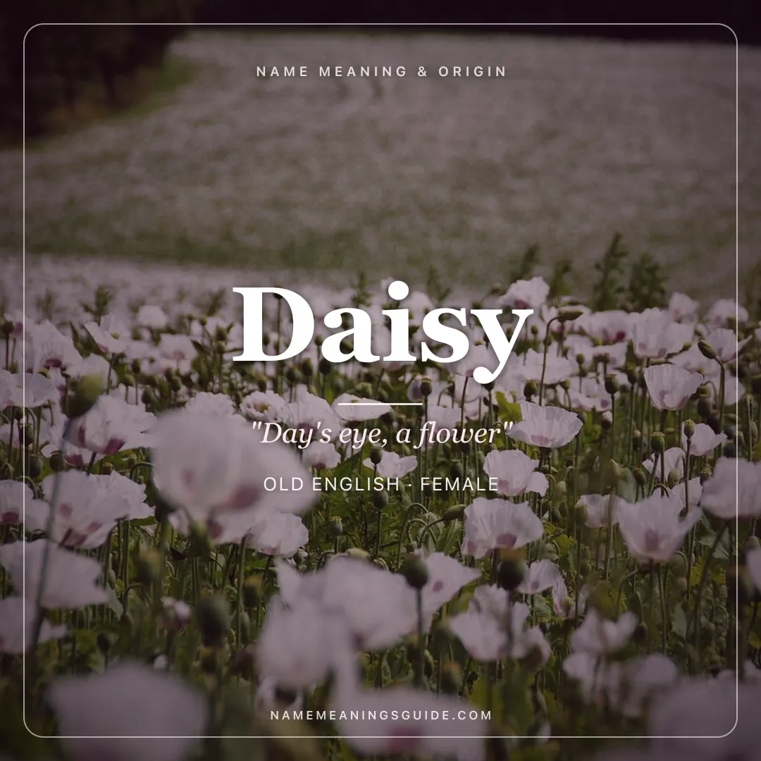 Daisy name meaning "Day's eye, a flower" - Old English female name share card | NameMeanings