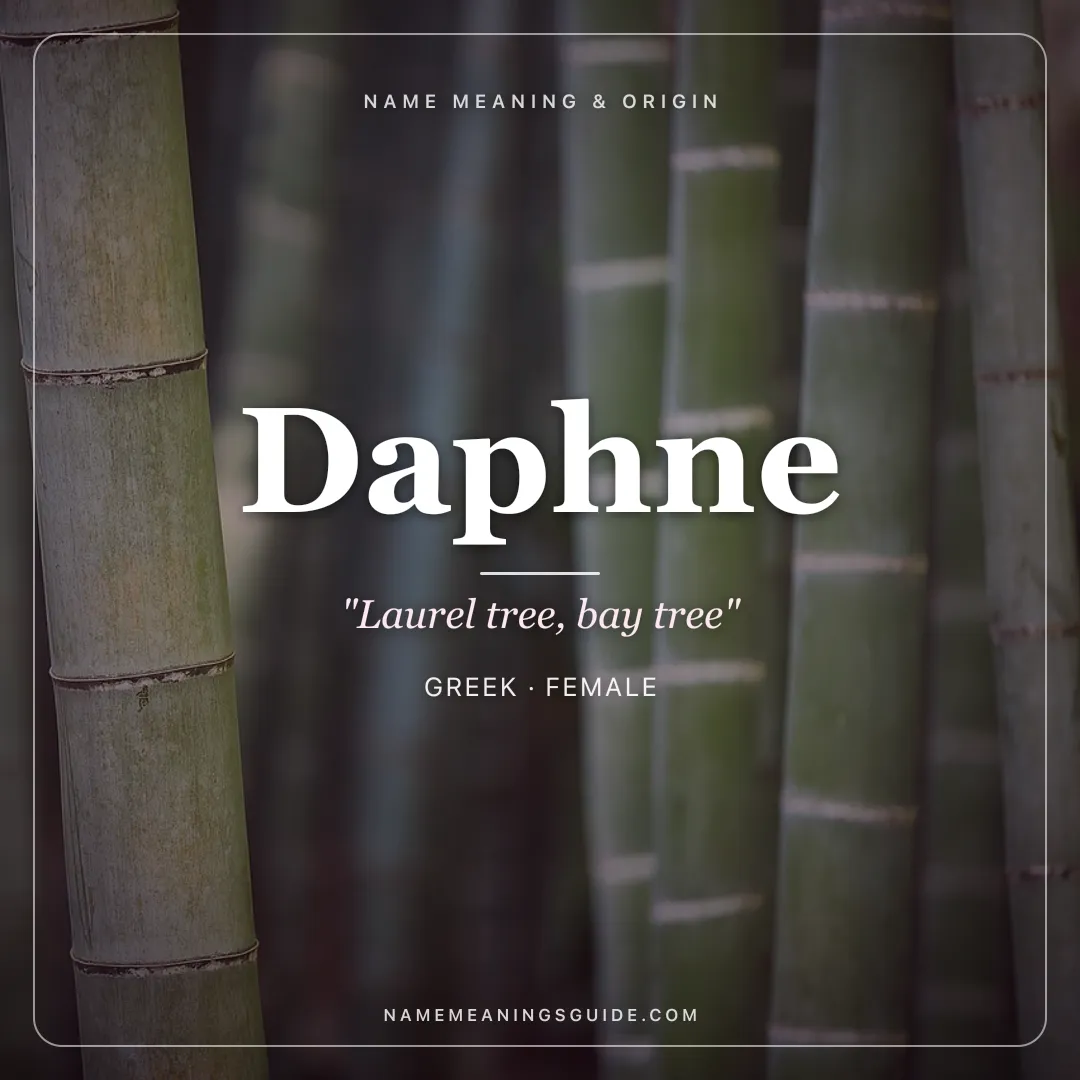Daphne name meaning "Laurel tree, bay tree" - Greek female name share card | NameMeanings
