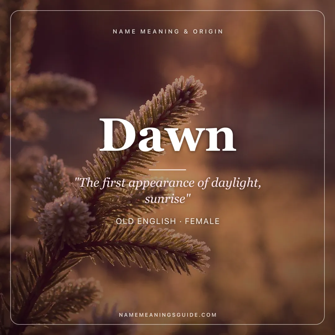 Dawn name meaning "The first appearance of daylight, sunrise" - Old English female name share card | NameMeanings