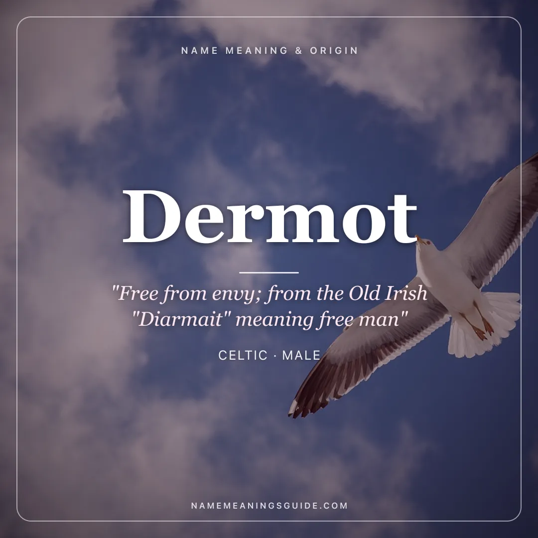 Dermot name meaning "Free from envy; from the Old Irish "Diarmait" meaning free man" - Celtic male name share card | NameMeanings